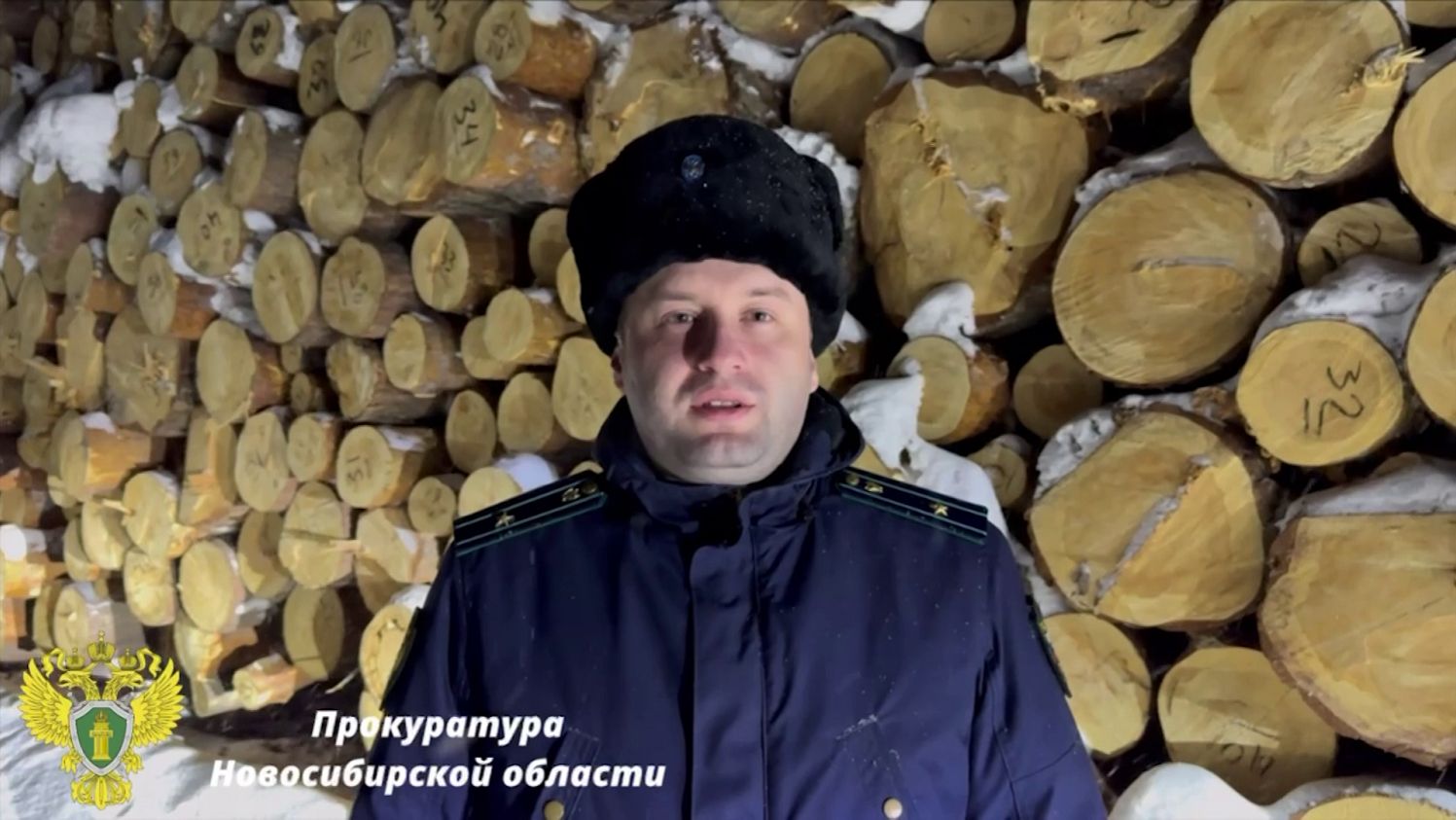 Банду черных лесорубов задержали в Новосибирской области смотреть онлайн