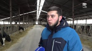 Животноводы Карачаево-Черкесии успешно проходят зимовку