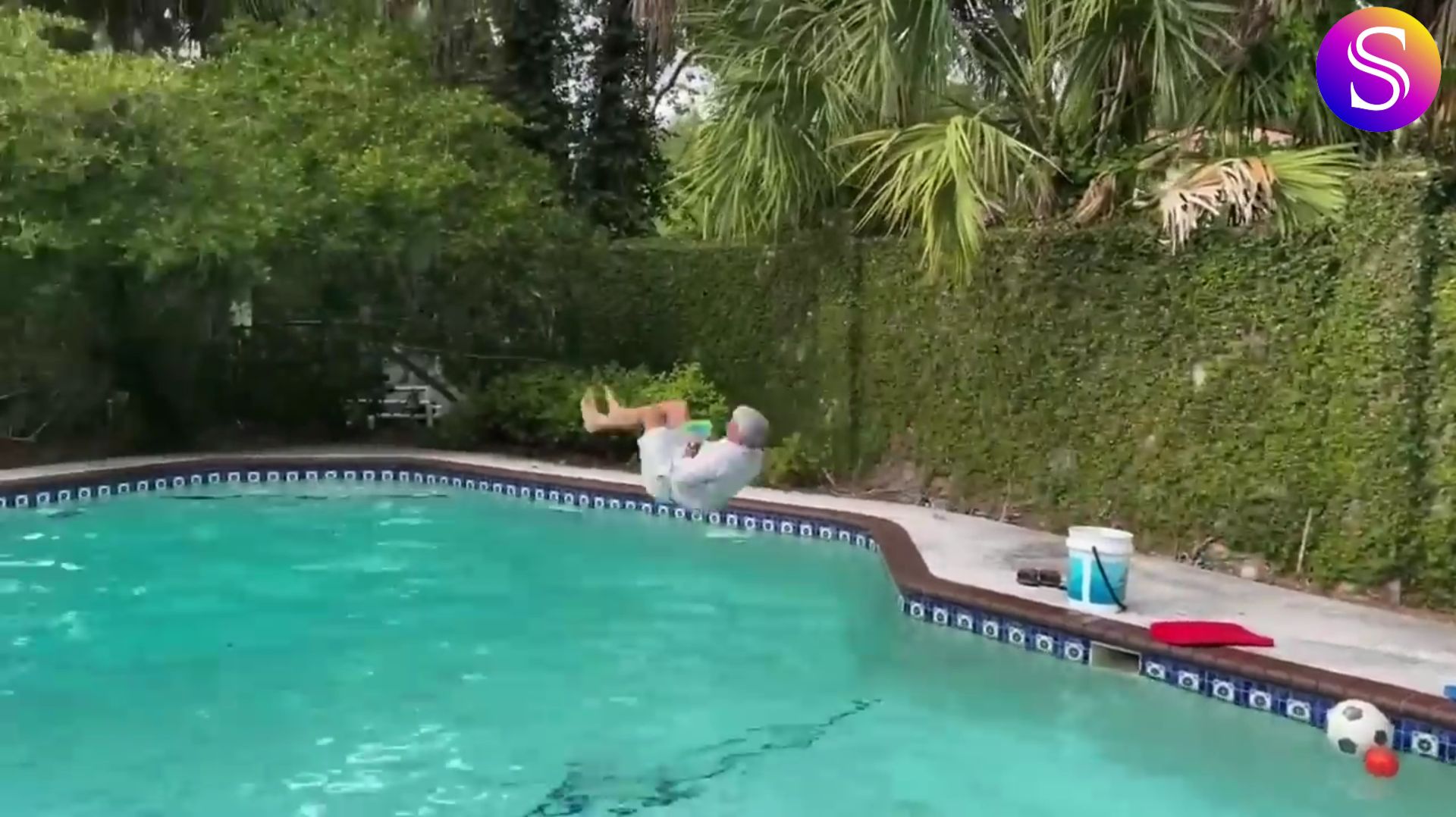 Итоги 2025 года 😄 Самые смешные видео года. Видео из интернета. смотреть онлайн