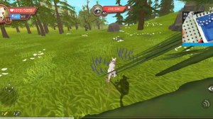 Выполняем пасс