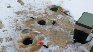 Лёд окреп.Пора ловить .Река Волхов.Ловим со льда.