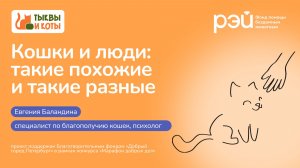 Кошки и люди: такие похожие и такие разные