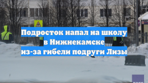 Подросток напал на школу в Нижнекамске из-за гибели подруги Лизы