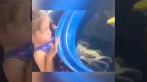 Видео от МЯУтаверс – как метавселенная, но с котами