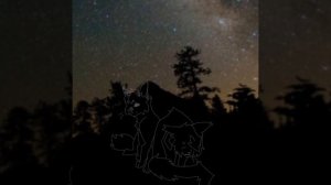 Ну хз поплачте