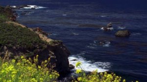 Александр Иванов и группа «Рондо» - Родина (Сергей Трофимов) (Cover 2022).