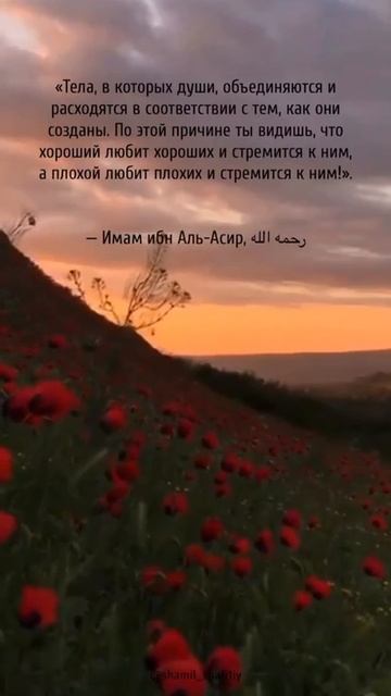 Имам ибн аль-Асир (рахlимахуЛлагь) о душах людей. Шейх Шамиль аш-Шафи'ий. смотреть онлайн