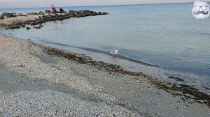 МОЖНО ЛИ НА*ПИСАТЬ В МОРЕ ЖЕЛЕЙНОМУ МЕДВЕДЮ ВАЛЕРЕ?