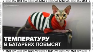 В Москве повысят температуру в батареях из-за похолодания - Москва 24