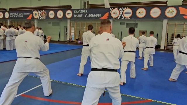 Блок ката. Сэйпай. Тренировку проводит Шихан - Богдановский Андрей Николаевич смотреть онлайн