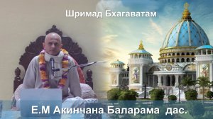 22.01.2026 || Шримад Бхагаватам 11.5.31 || Е.М. Акинчана Баларама дас