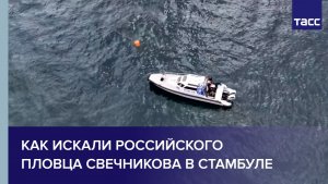 Как искали российского пловца Свечникова в Стамбуле