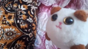 котики в школе