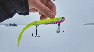 РЕЛАКС КУРЬЕР КОСИТ СУДАКА. РЫБАЛКА НА НОВИНКУ ЭТОГО СЕЗОНА