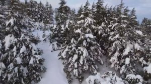 Топ мировых песен для настроения