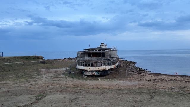 Елка Таврида. Крым Судак. Главная Морская ёлка страны