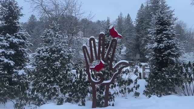 🇺🇸 Вудсток, Вермон – красивые снежные пейзажи ❄️☃️🏡 смотреть онлайн