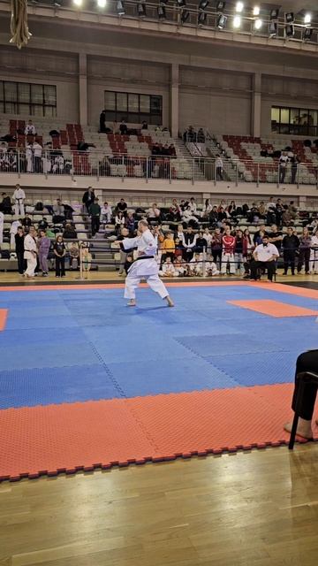 Шихан - Андрей Богдановский Николаевич (ката) смотреть онлайн