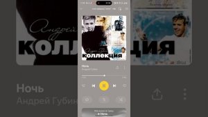 Андрей Губин.:;ночь:поп