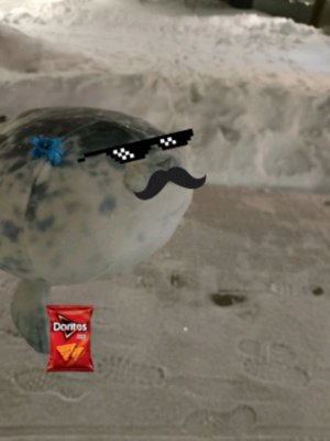 как сделать тюленя