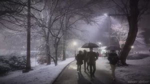 [4K] 🇺🇸 Прогулка снежной ночью по Центральному парку и 5-й авеню, Нью-Йорк ⛄❄️ Январь 2026