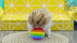 Маленький хомячок и маленький паровозик Чарльз ссорятся, но заботятся друг о друге даже в опасности