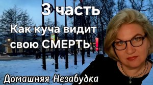 3 часть. Как куча видит свою СМЕРТЬ❗️