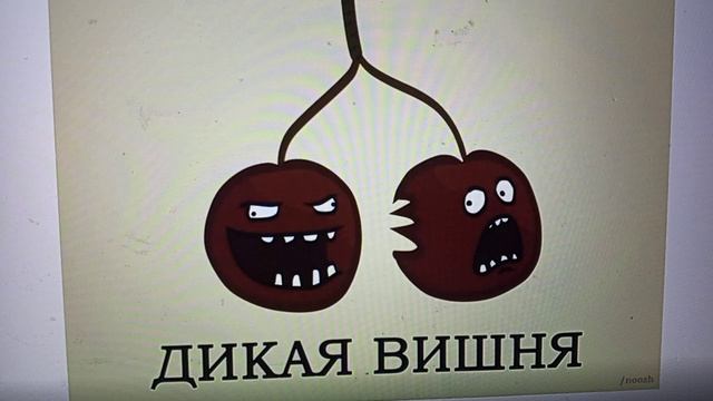 Дикая вишня на тортике- одна мужская шапка на двоих смотреть онлайн