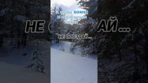 video_11555989621296.mp4