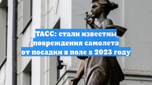 ТАСС: стали известны повреждения самолета от посадки в поле в 2023 году
