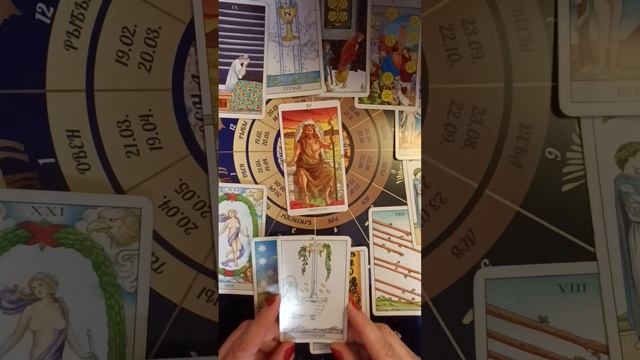 Таро расклад для Львов на 2026 год на 12 домов гороскопа смотреть онлайн