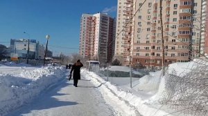 Морозы до минус 30..к нам пришли... СОГДИАНА**МОЯ ЛЮБОВЬ КАК ПТИЦА**ВОТ Она ❄⛄ЗИМА.