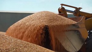 Правительство выделит 26,5 млрд рублей на поддержку агропрома.