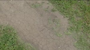 Гвозди на дороге или людские странности