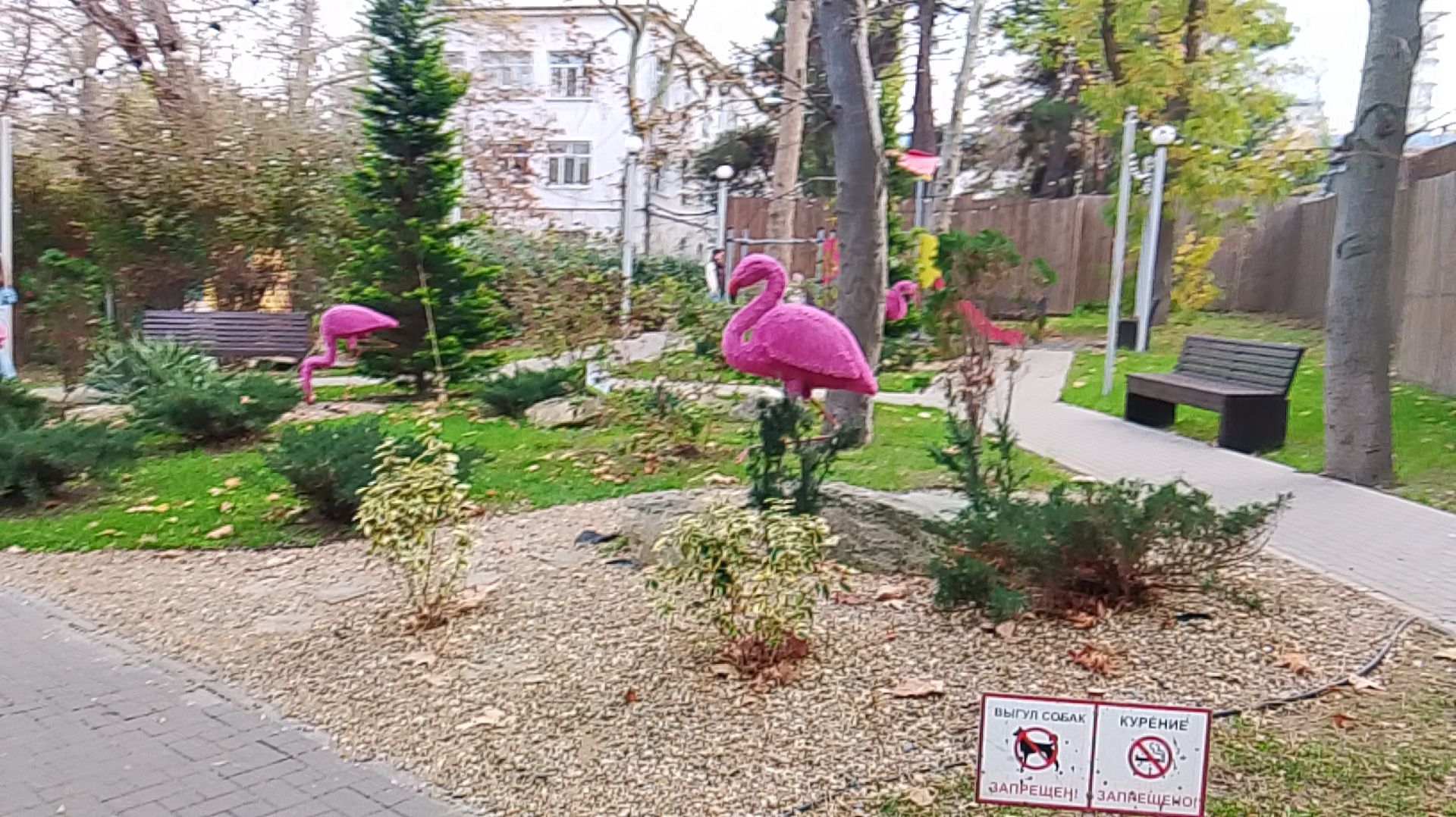 Парк с декоративными элементами в виде розовых фламинго «АНАПА» смотреть онлайн