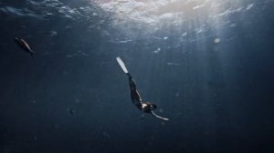 Elements of Paradise   Sony FX3 Cinematic