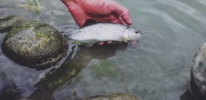 Горы Кавказа