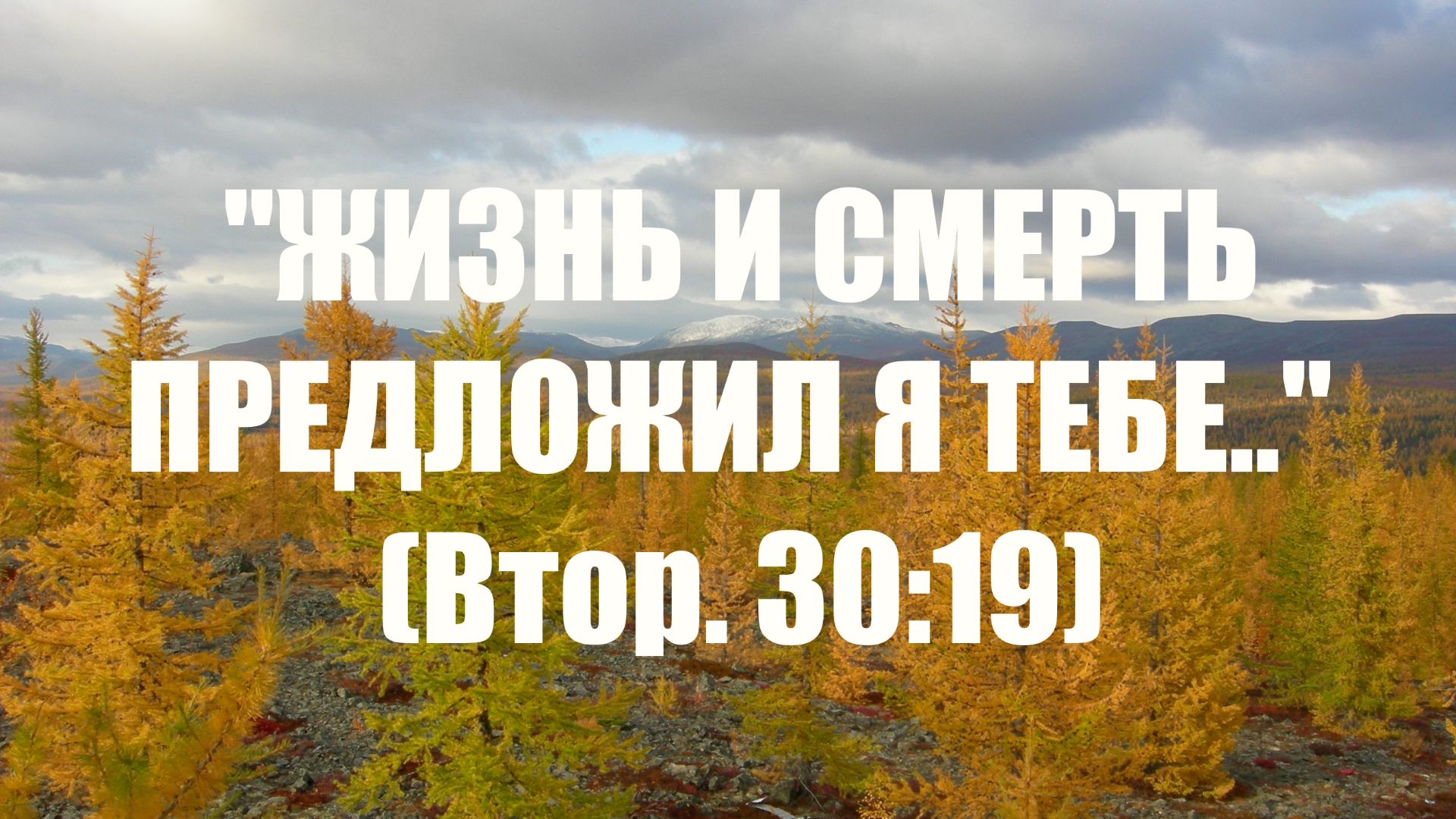 Сей есть Сын Мой Возлюбленный...