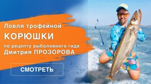 Секреты ловли корюшки от рыболовного гида Дмитрия Прозорова.