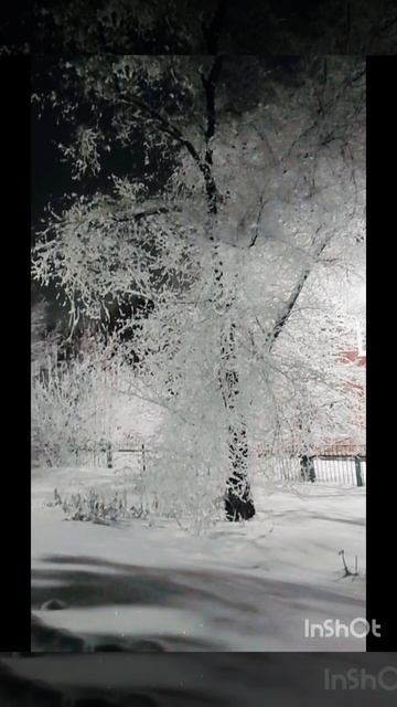 Снежные деревья зимой ❄🎄❄ смотреть онлайн
