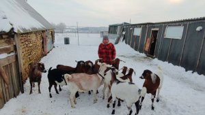 Утренняя пробежка. Будни в деревне
