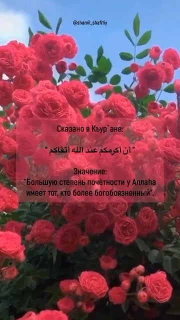 Более почётен тот, кто более богобоязнен. Шейх Шамиль аш-Шафи'ий. смотреть онлайн