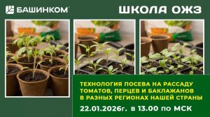 Сеем перцы, томаты и баклажаны. Посев рассады. Технологии для разных регионов России.