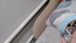 Мини вложек с Лёвой