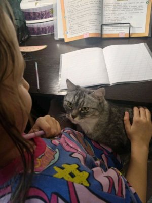 как зделать кошечку из бумаги