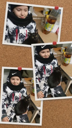 не обращайте внимание на губу