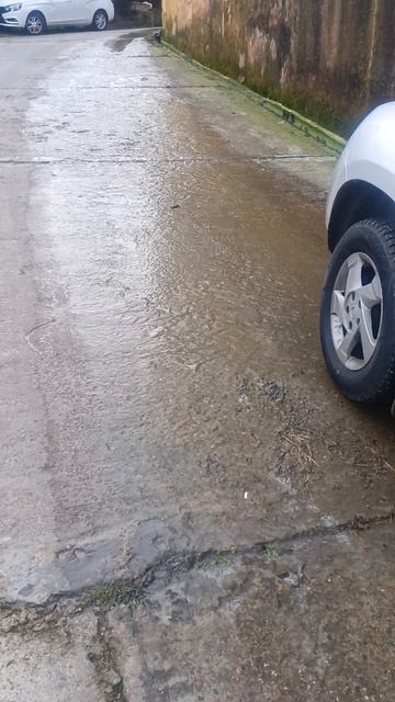 1000122191.mp4 смотреть онлайн