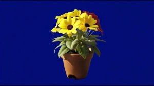 Цветок 01_encoded