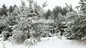 lv_0_20260122133111.mp4