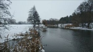 Заколдованная Ночь. Тайны и свет 23 января.
